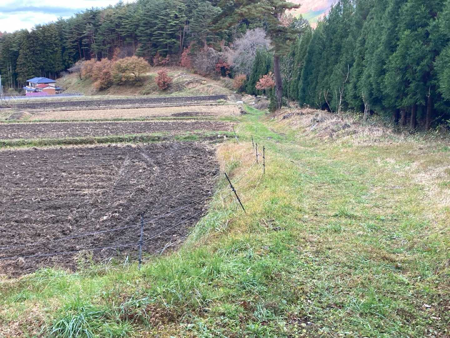 あぜ道に出た！
