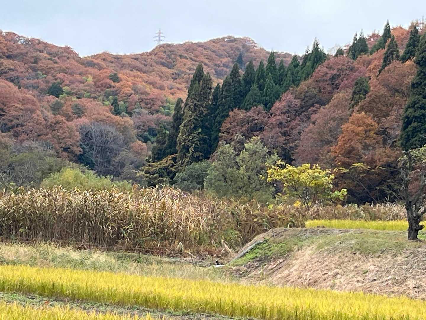 二上山 周回コースの写真