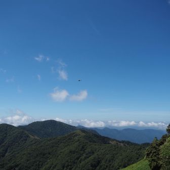 ヘリコプター🚁