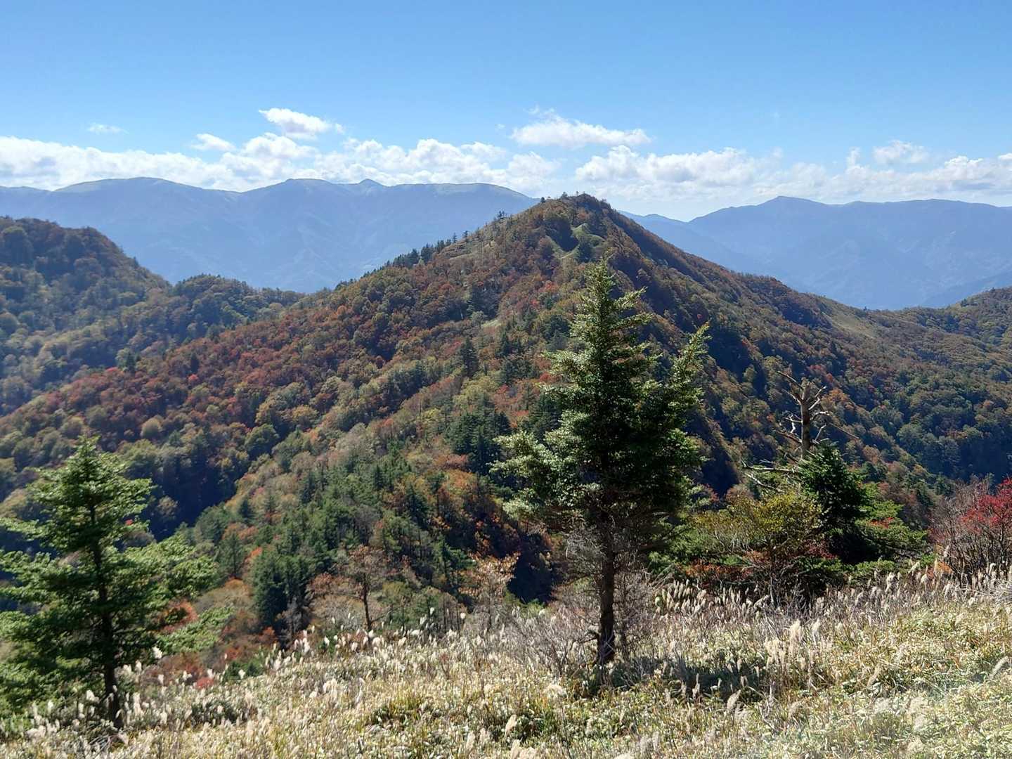 先程までいた前烏帽子山
うーん悪くない形