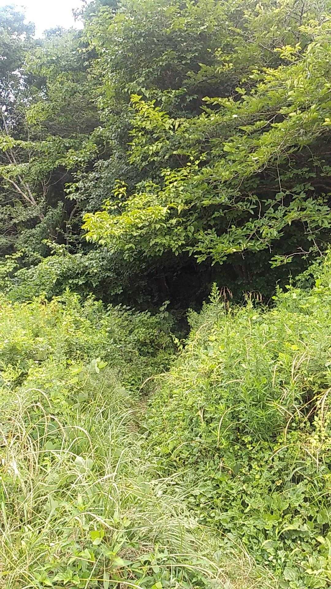 トンネルだね