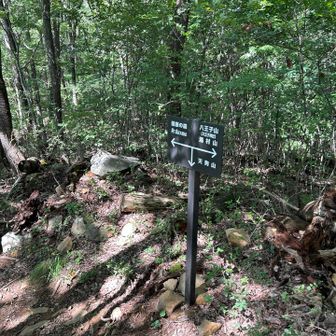 ここまでご一緒にお話ししながら歩き
私は天狗山へ👋おば様とはお別れ