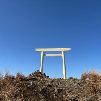 ⛩️鳥居が輝いて🤩