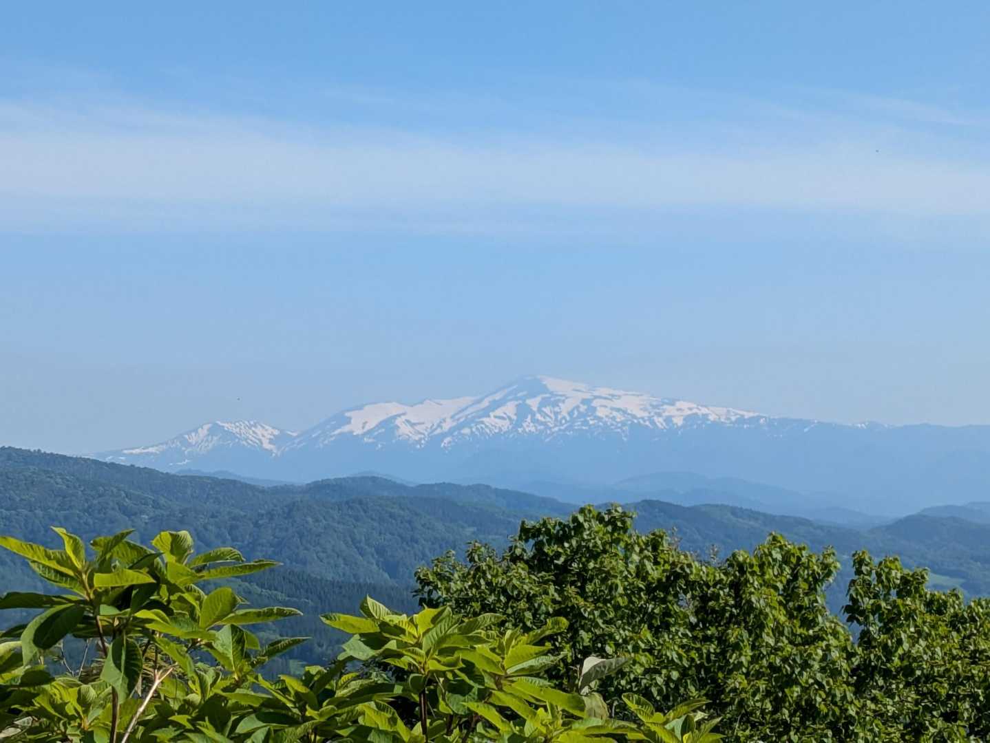 月山が綺麗に見えてる