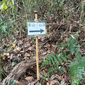 峯山の山頂はこちらよ💁‍♀️