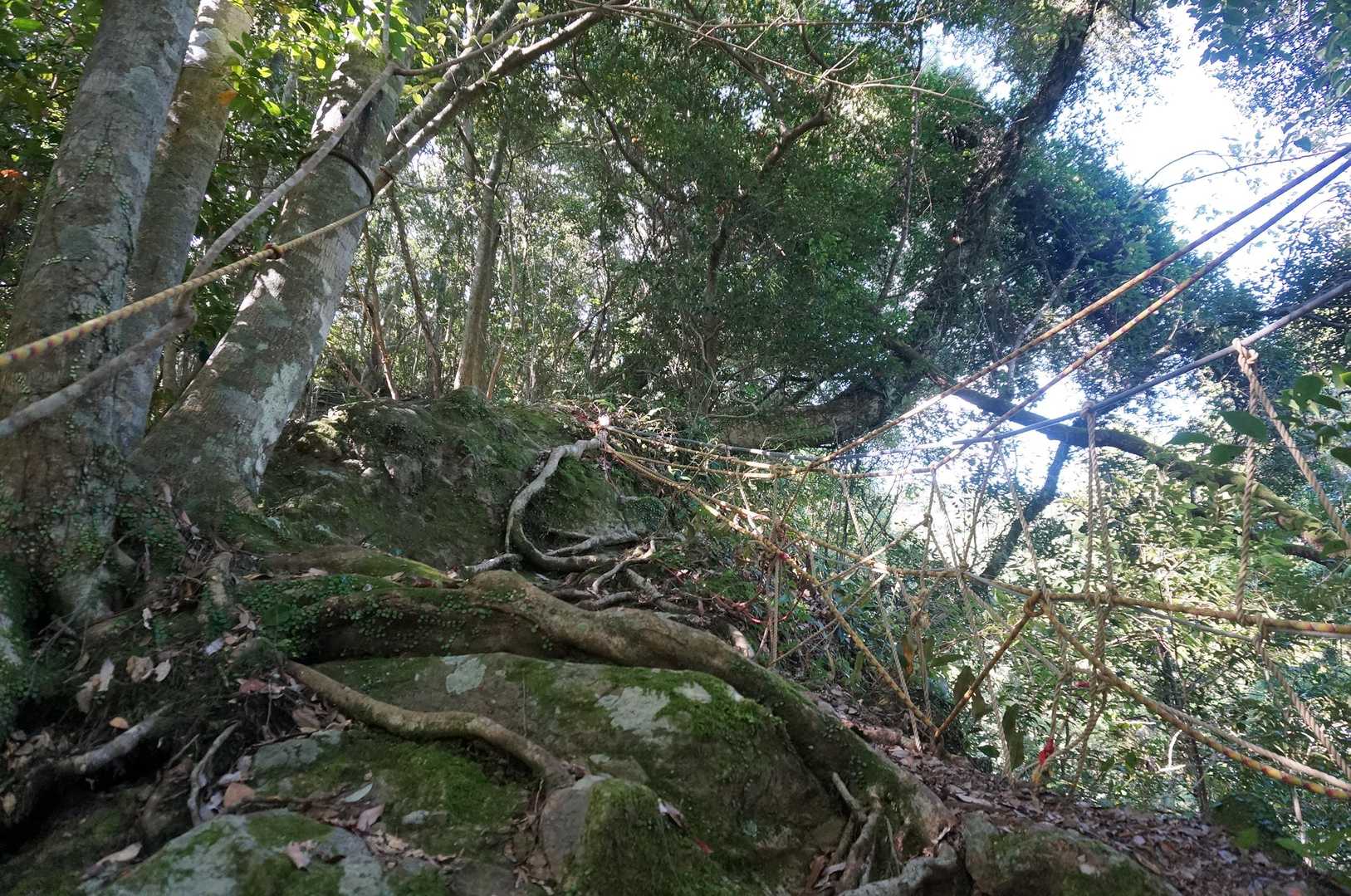 この先も、岩屋山だけあって、岩がゴロゴロしてます。