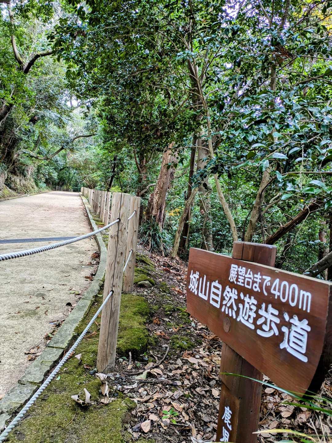 城山-城山自然遊歩道・探勝園側入口-薩摩義士碑側入口 周回コースの写真