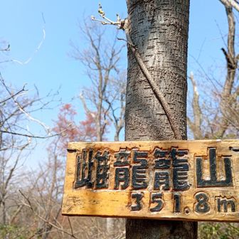 めたつごやま🏕️