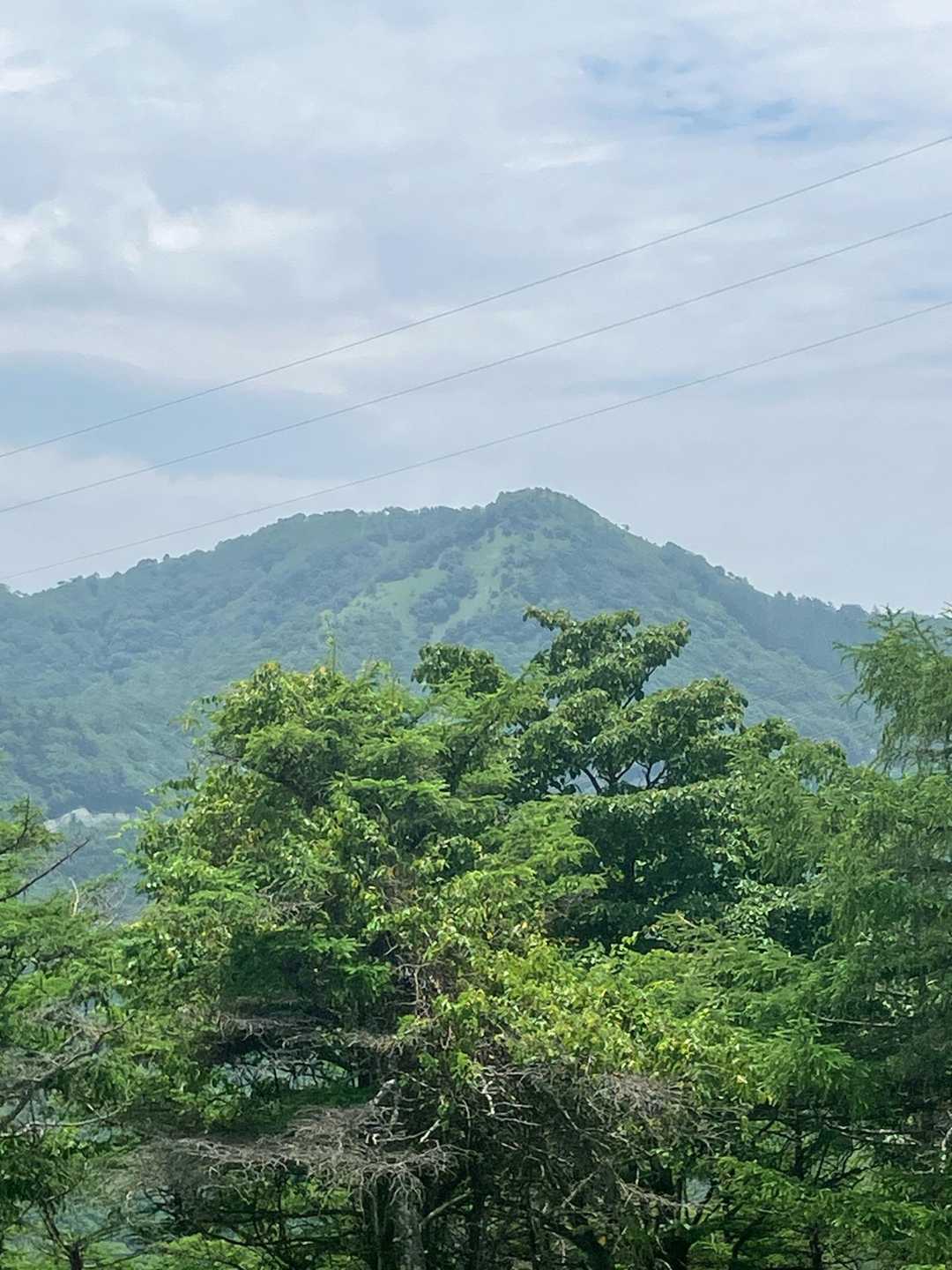 正面に見えているのが和田山北峰でしょうか？