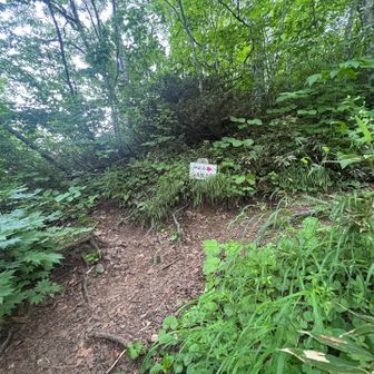 分岐点
まずはカムへ