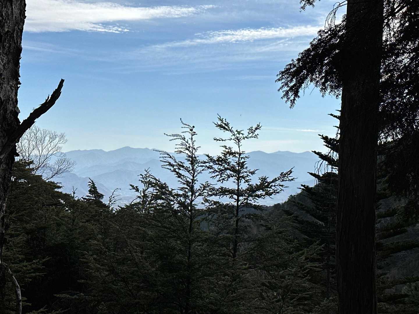 右端は金峰山、左の高い山は甲武信ケ岳と山ナビが教えてくれる
ちなみに、富士見平から富士山は今日は見えませんでした