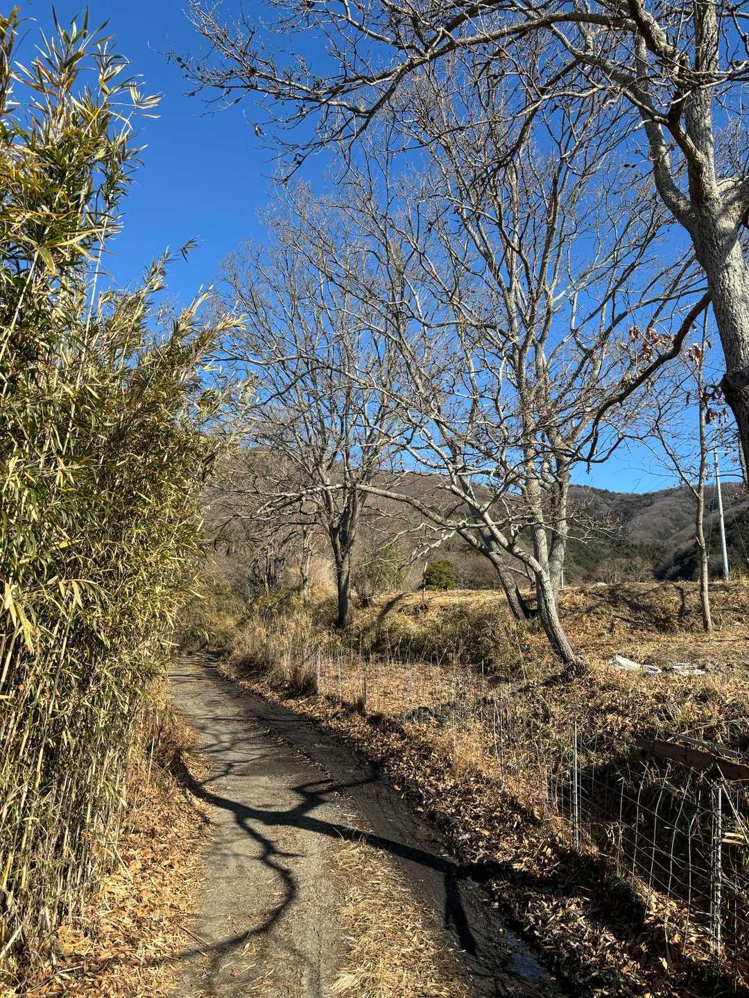 尖浅間山 周回コースの写真