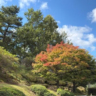 秋の風景🍂
少しずつ色づいてきましたね
今年の紅葉🍁も楽しみ😊