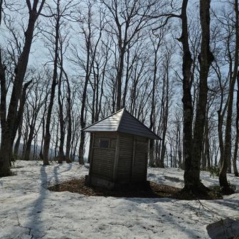 アッチにはトイレ。