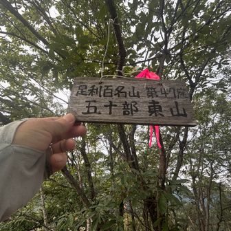 山頂到着