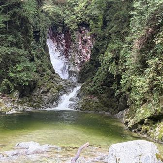 せっかくなので、千ケ淵に寄ってみました。
千ケ淵の透き通った水も見事でしたが、写真では上手く撮れませんでしたが奥に見える滝が圧巻でした。近くまで歩くことができるようなので、元気な時に立ち寄ってみたいです😊