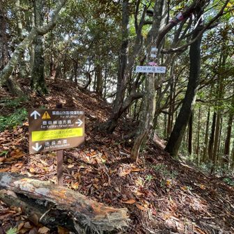 ここから迷岳まではピストン
降りで飯盛山を通るのは『滑落危険』⚠️
