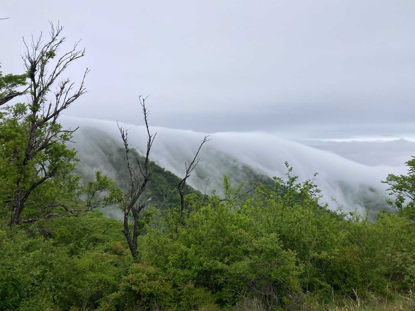 雲の滝