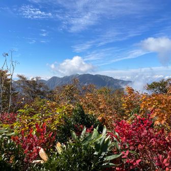 今日1番の絶景✨