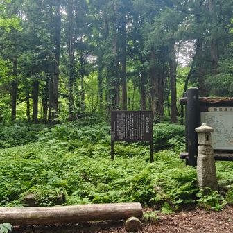 無事に御沢に到着✨
ここでこれから登るハイカーさんとお話し大日岳まで登るとのこと、アイゼン持参の必要性をお伝えしました🙋
無事に登頂と下山をしてほしいです✨