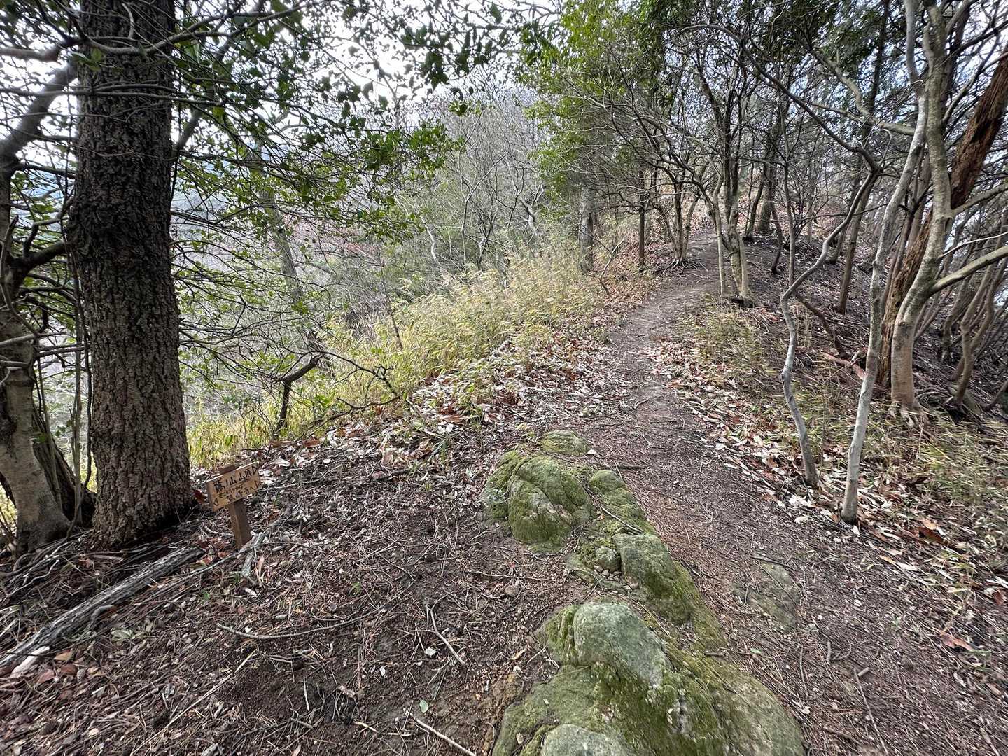 峰が原への登山道は最初は優しい
