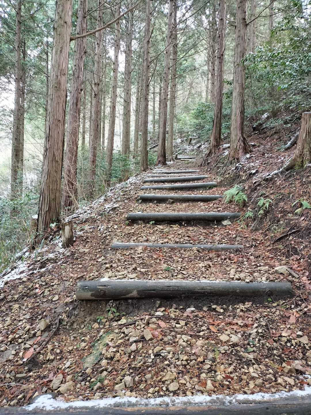 丸太の階段が続く
地味にキツイ…😖