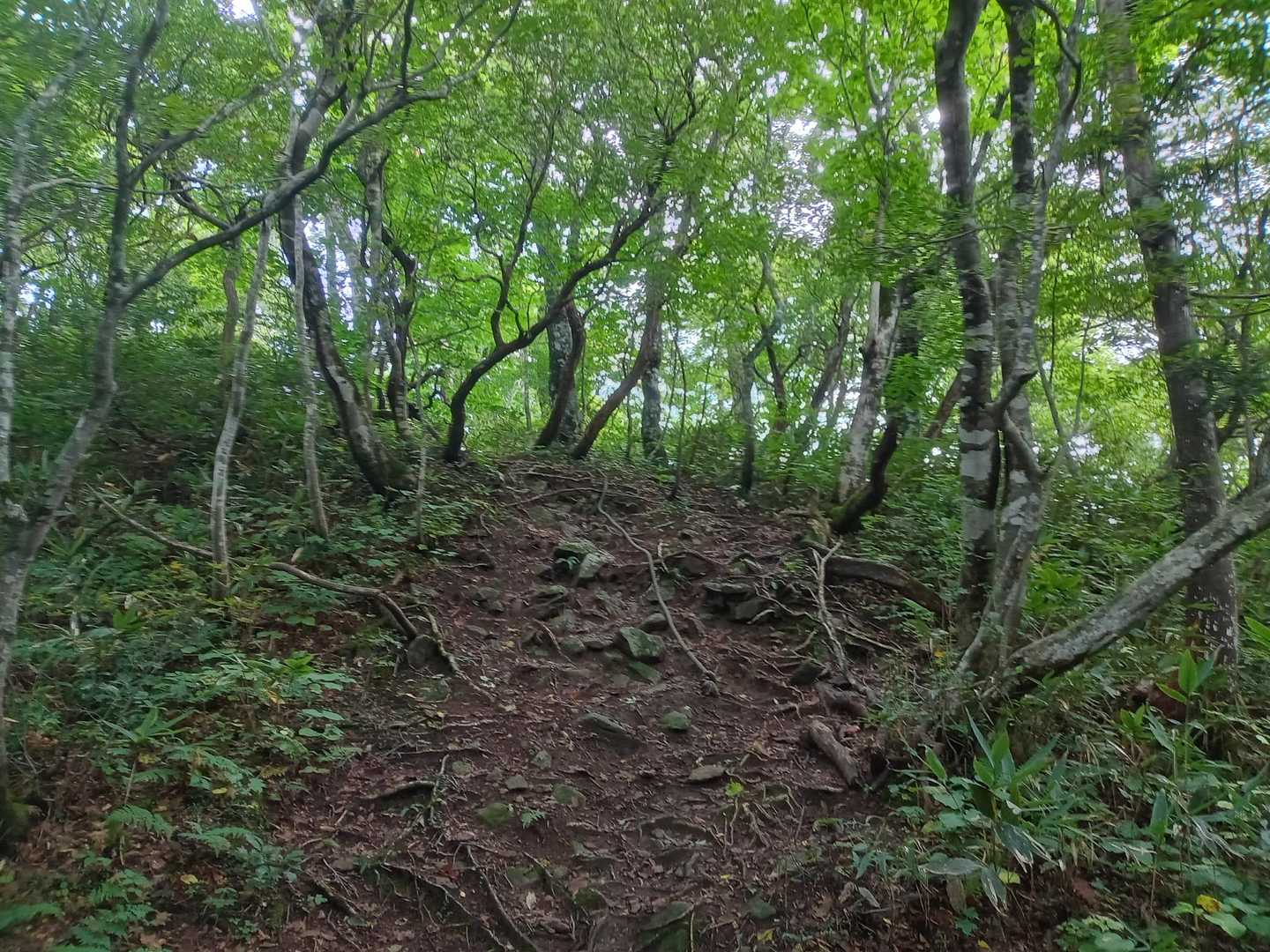 ロープ設置場。景色は良いんだけど✨…　ココも意外ともってかれる💦💦