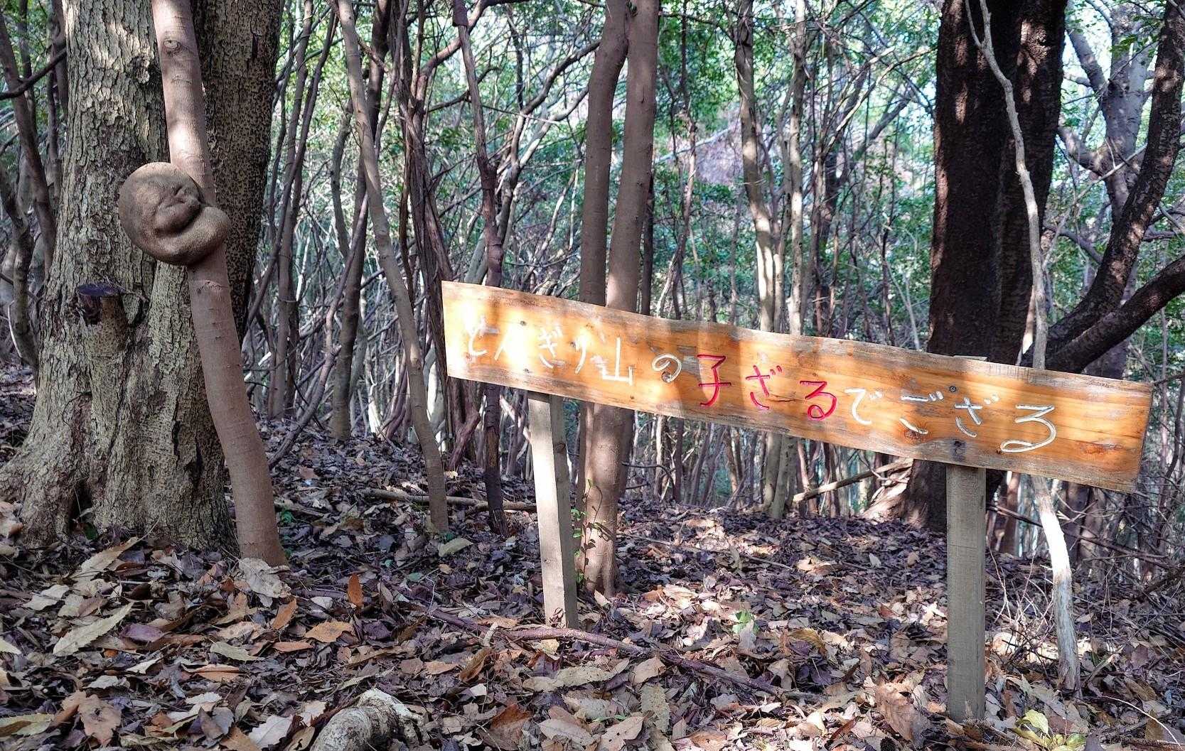 子ザルも見ました🐒