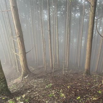 雲の中