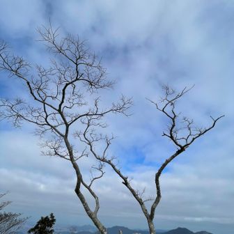若杉はいつ行こうかねー