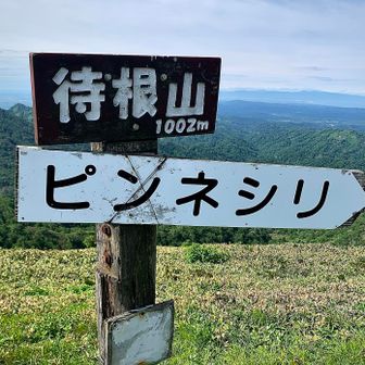 8時半少し前、待根山に。

スマホ写真では捉えることができませんでしたが、石狩湾の向こう側に手稲をはじめ札幌西側にある山々と積丹の山々を確認することができました。見事な眺めでした。

待根山山頂には若い方が展望を楽しまれていました。素晴らしい景色を眺められた喜びを共有しました。
