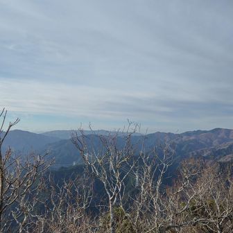 南方、笠取山、青山高原
ずうっと奥に見えるのは局ヶ岳かな
高見山系の稜線歩きも楽しかった
