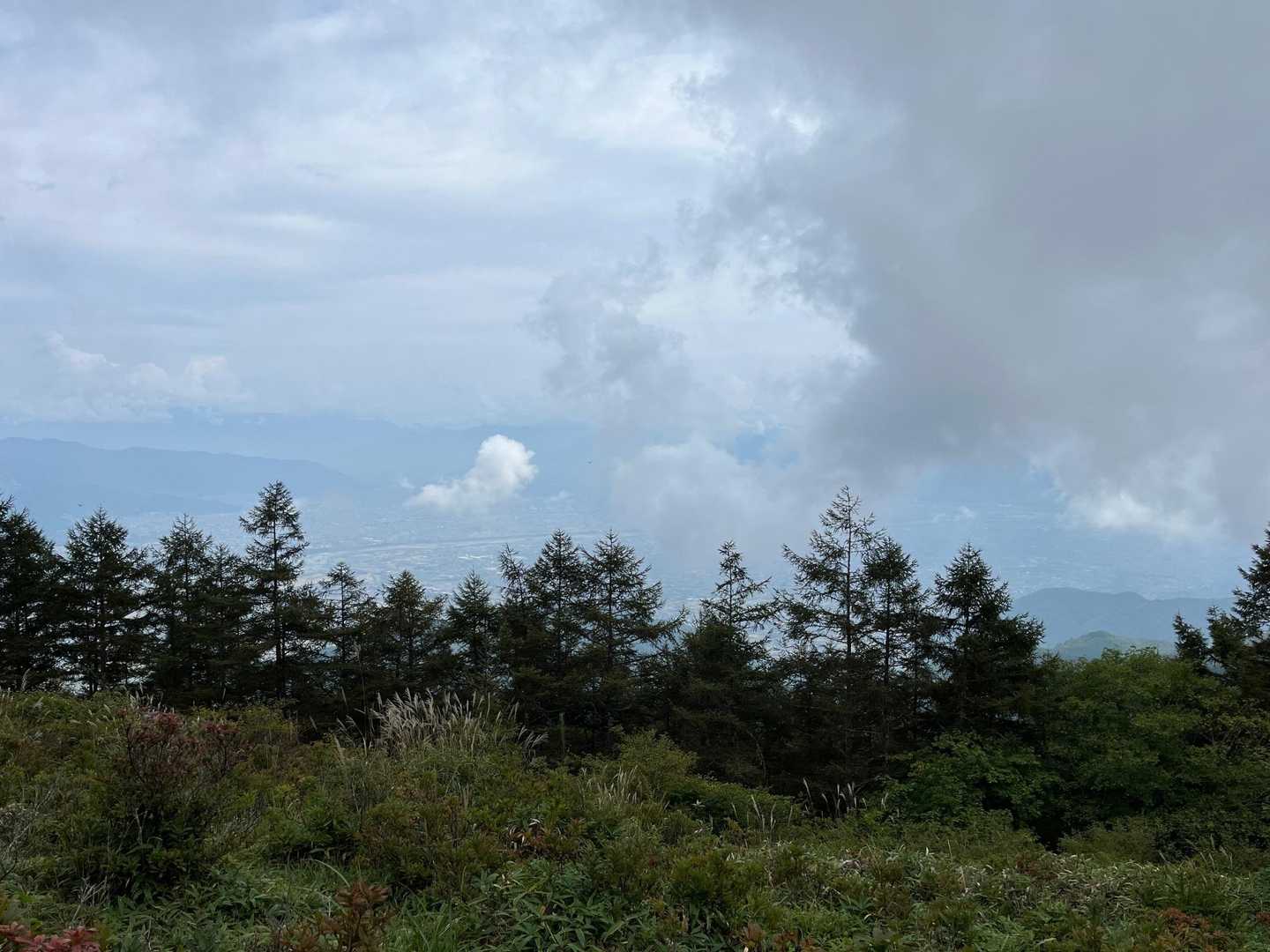 甘利山登山口-甘利山 周回コースの写真