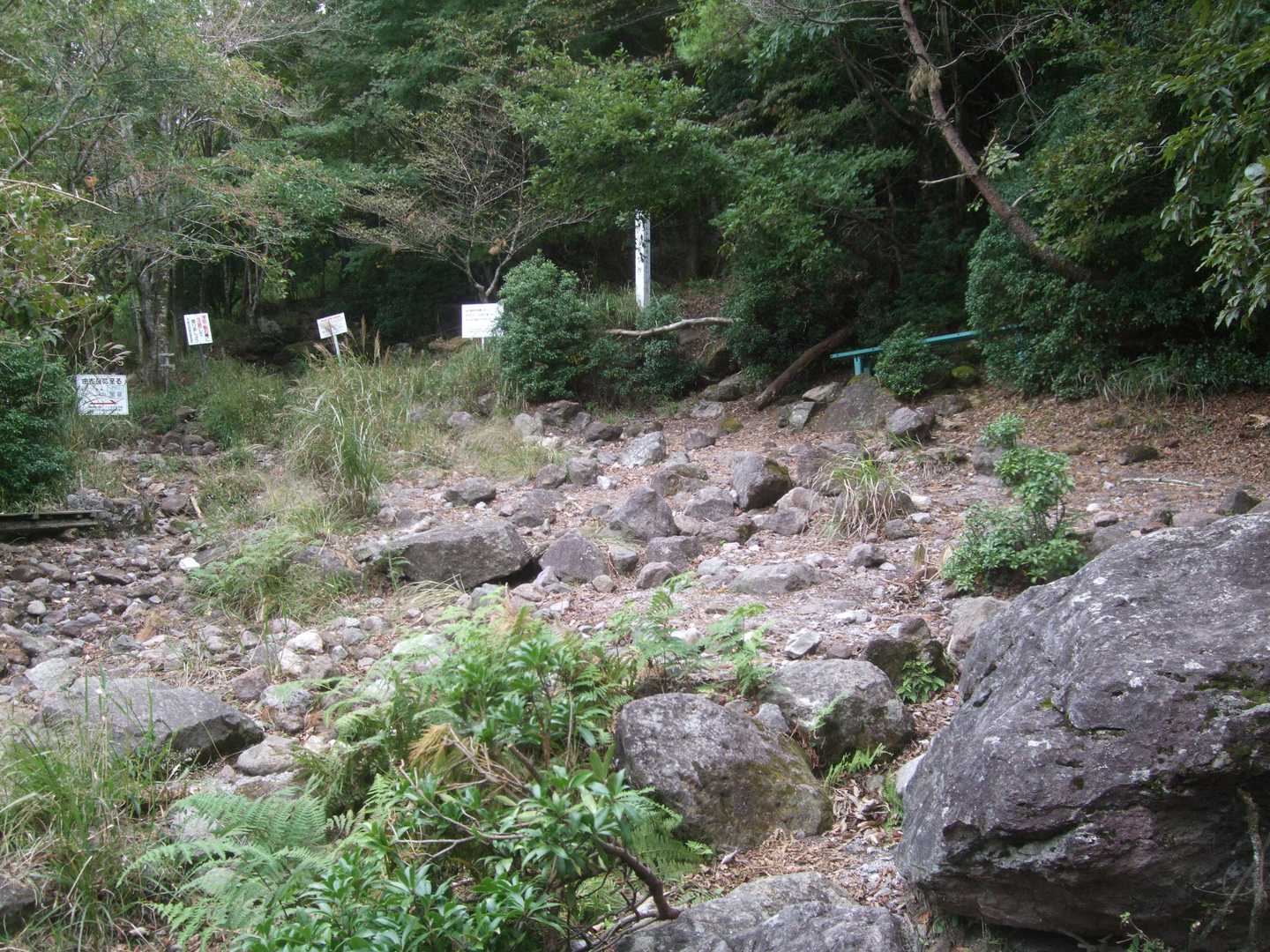 合野越まできました。
由布岳中腹にトリカブトが咲いているらしいので、ちょっと見に行ってみます。