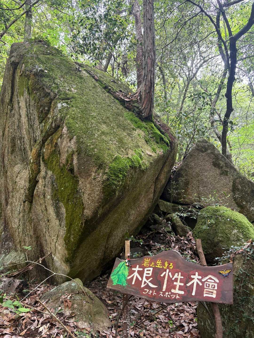 自然ってすごいよね〜
娘ちゃんも同感してくれているが、私に合わせてくれているのか？😂