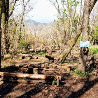 阿部倉山山頂の一角のさくらテラス(写真)
陽当たり良く風も無いのでここでランチ♪
開放的で静か。大正解でした♪

一旦下山して舗装路歩き、再び登山口からソッカ･仙元山の登頂に向かう♪