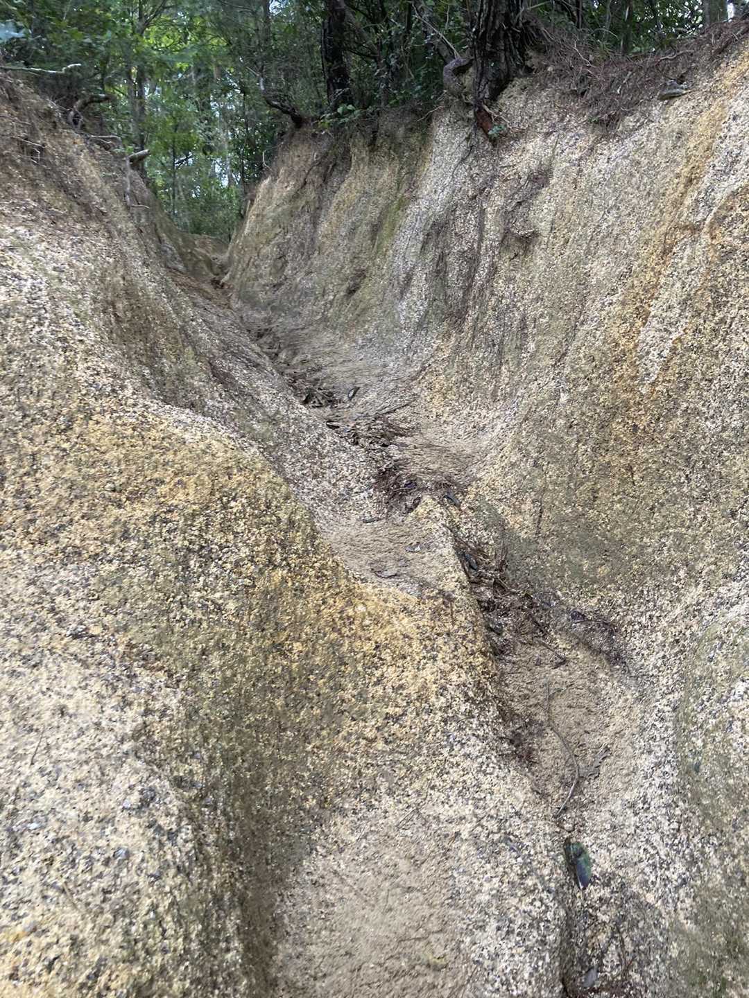 天狗岩 往復コースの写真