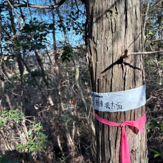 今日は遊歩道2号線で降ります。