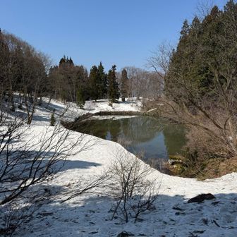 池の周りは雪