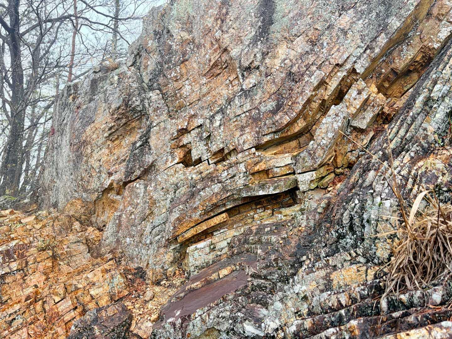 出尾根コース登山口-三床山-天ヶ岳-林山-金原山 周回コースの写真