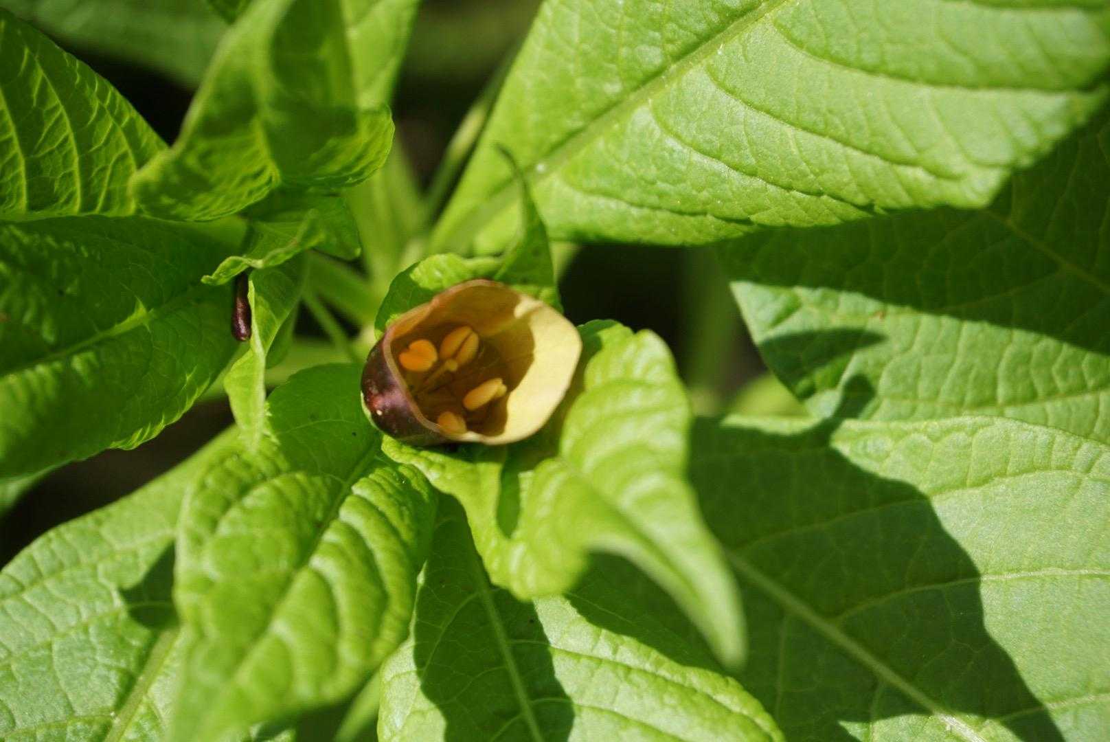 この子だけ上向いててくれて
やっと中が見えた👀