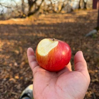 位牌岳にて。あとは降るだけ。でもその前に腹拵え