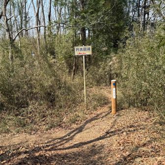 では円良田湖経由で下山です♪