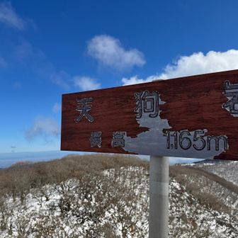 天狗岳👺まで🐾寄り道