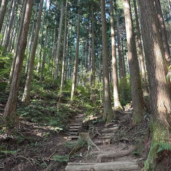 ココロもカラダもなんとなく重い日曜日

人の少なくなった時間狙い

久しぶりの馬の背ルートです
