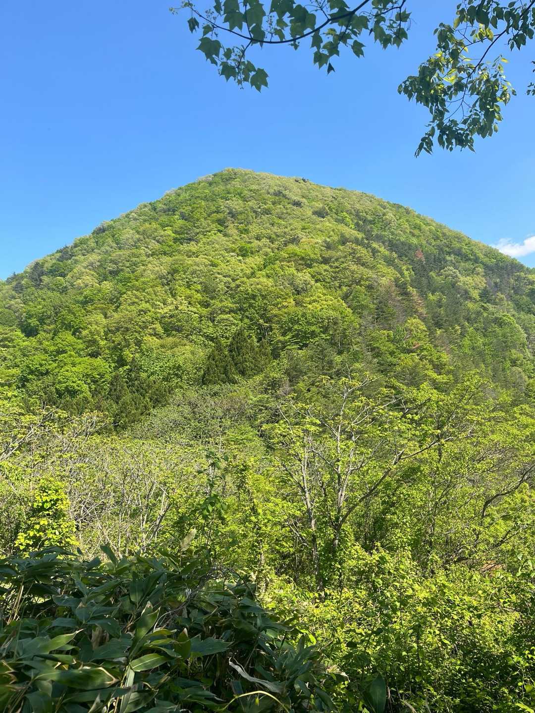 鷹取山への登りで振り返ると、猿倉山⛰️が！たおやかに見えてキツいアイツです！