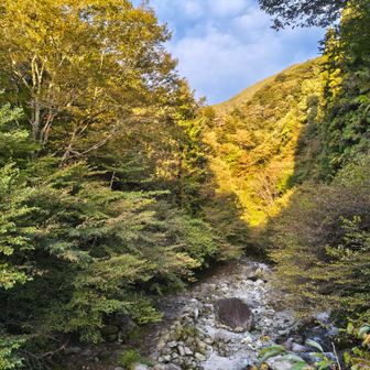 尾白川渓谷の紅葉は少し早そう。