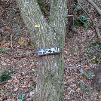 十文字山