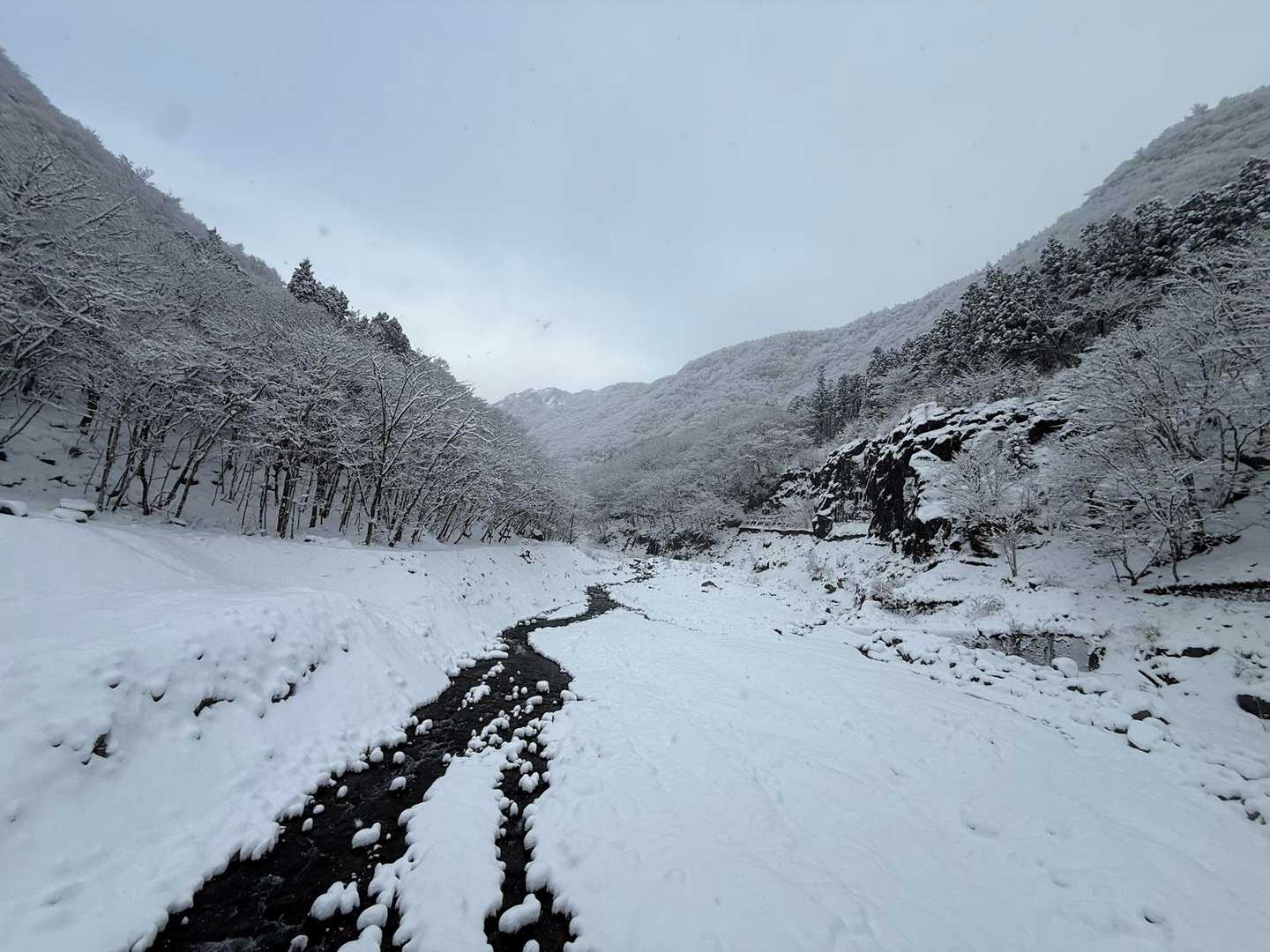 ここから女峰山山頂が見えるそうですが…