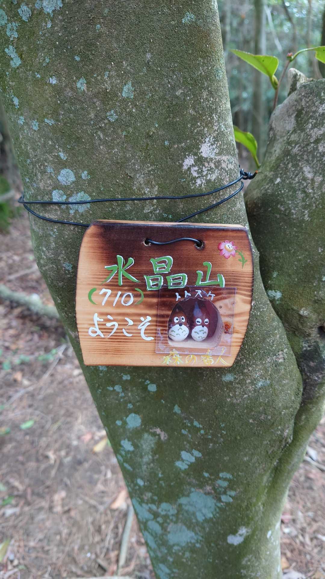 トトスケ、裏六甲へ💞